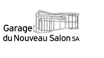 Logo NSSA