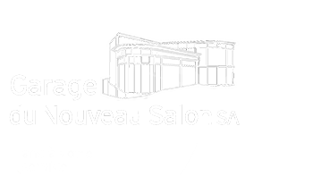 Logo NSSA